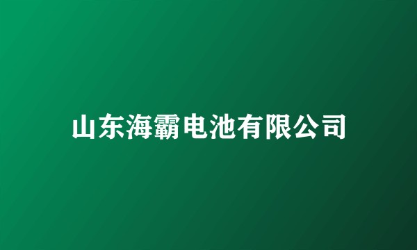 山东海霸电池有限公司