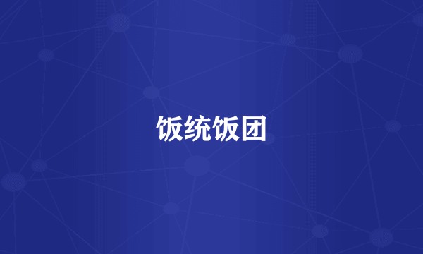 饭统饭团