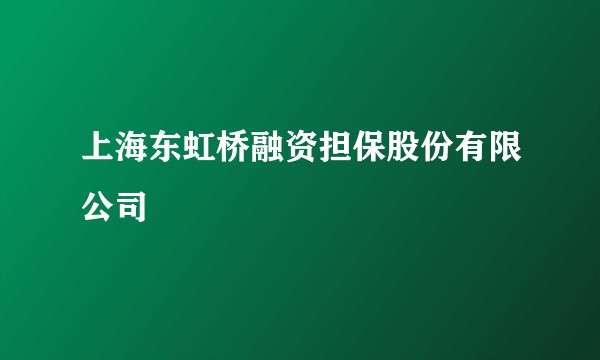 上海东虹桥融资担保股份有限公司