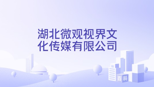 湖北微观视界文化传媒有限公司