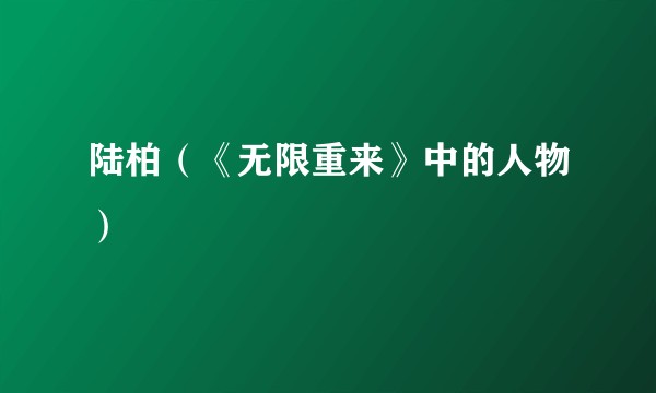 陆柏（《无限重来》中的人物）