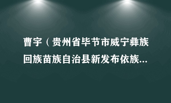 曹宇(贵州省毕节市威宁彝族回族苗族自治县新发布依族乡人大主席)