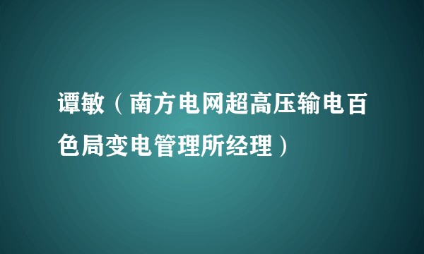 谭敏(南方电网超高压输电百色局变电管理所经理)