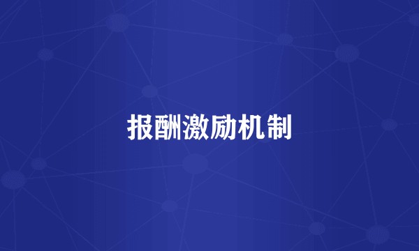 报酬激励机制