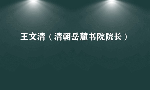 王文清（清朝岳麓书院院长）