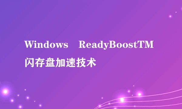 Windows®ReadyBoostTM闪存盘加速技术