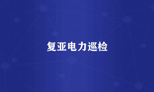复亚电力巡检