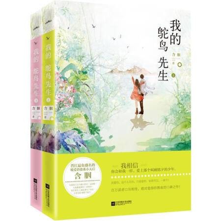 我的鸵鸟先生（2015年江苏凤凰文艺出版社出版的图书）