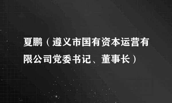 夏鹏（遵义市国有资本运营有限公司党委书记、董事长）