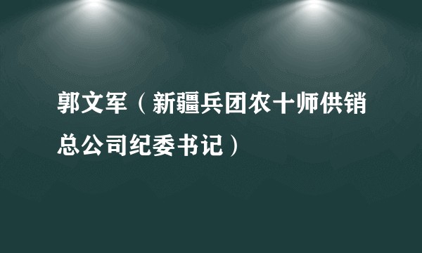 郭文军（新疆兵团农十师供销总公司纪委书记）