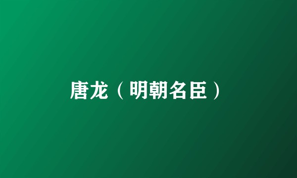 唐龙（明朝名臣）