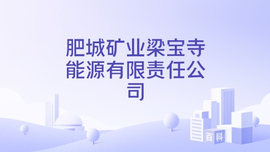 肥城矿业梁宝寺能源有限责任公司