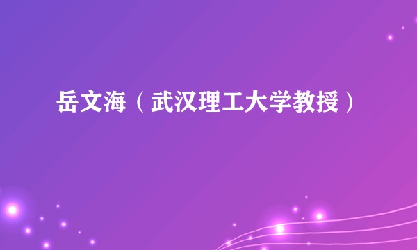 岳文海（武汉理工大学教授）
