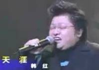 天涯（2022年韩红演唱歌曲）