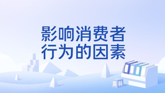 影响消费者行为的因素