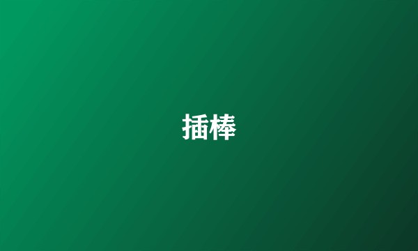 插棒