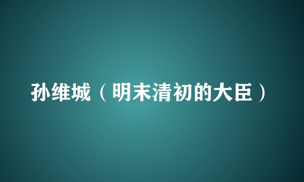 孙维城（明末清初的大臣）