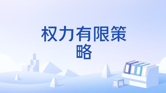 权力有限策略