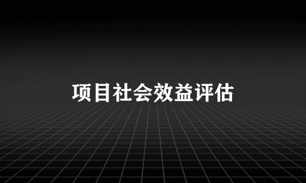 项目社会效益评估