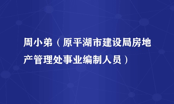 周小弟（原平湖市建设局房地产管理处事业编制人员）