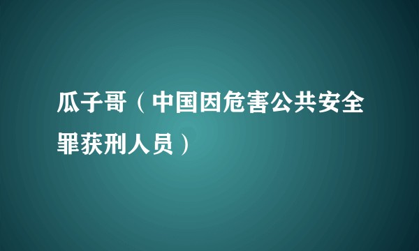 瓜子哥（中国因危害公共安全罪获刑人员）