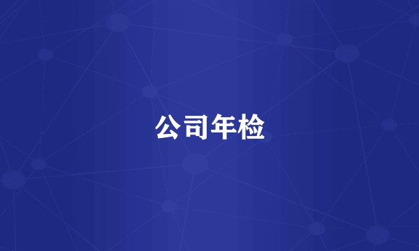 公司年检
