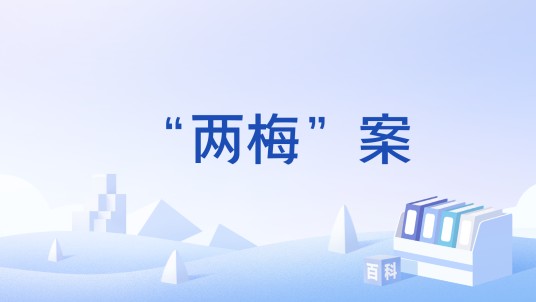 “两梅”案