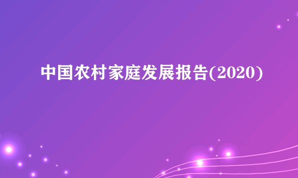 中国农村家庭发展报告(2020)