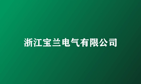 浙江宝兰电气有限公司