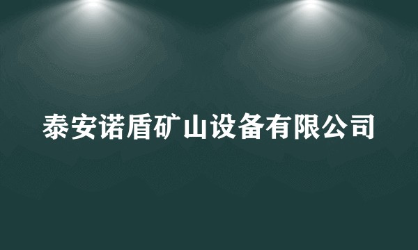 泰安诺盾矿山设备有限公司