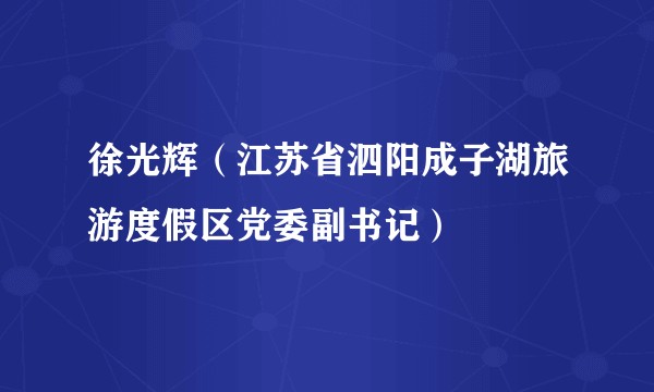 徐光辉（江苏省泗阳成子湖旅游度假区党委副书记）