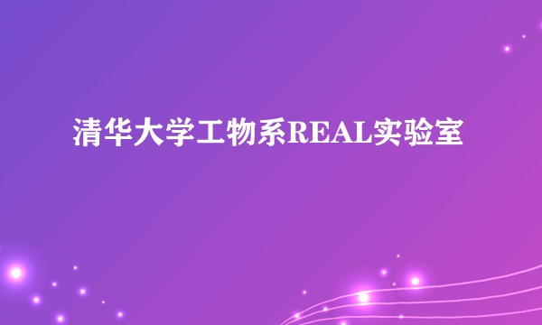 清华大学工物系REAL实验室