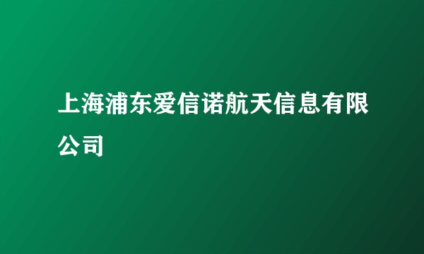 上海浦东爱信诺航天信息有限公司
