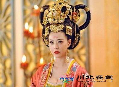 杨淑妃（电视剧《武媚娘传奇》中的主角）