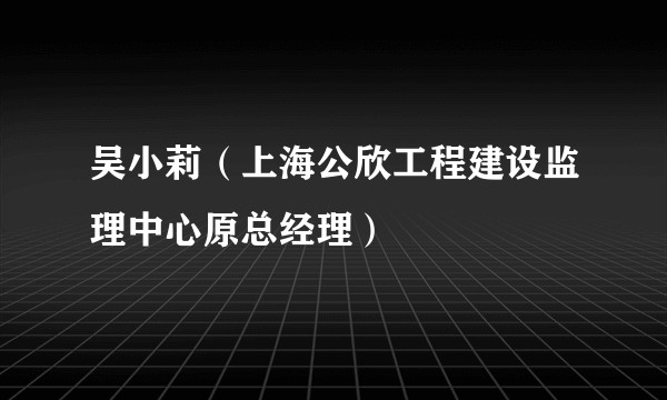 吴小莉（上海公欣工程建设监理中心原总经理）