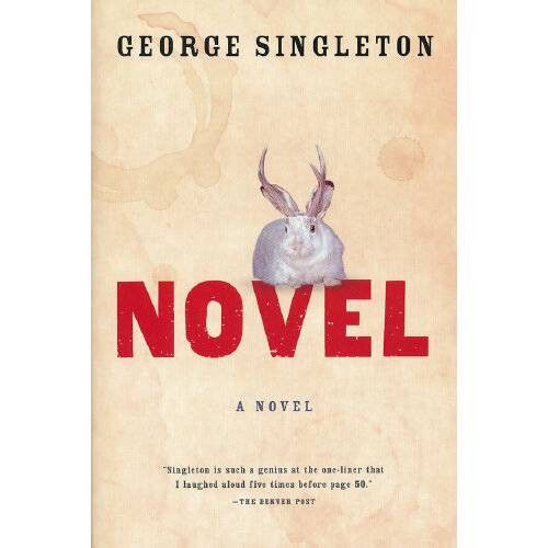 Novel(2011年Houghton Mifflin Harcourt出版的图书)