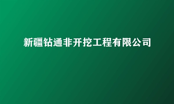 新疆钻通非开挖工程有限公司