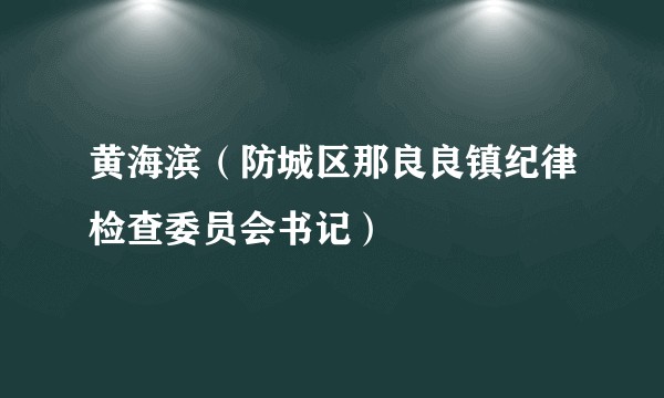 黄海滨（防城区那良良镇纪律检查委员会书记）