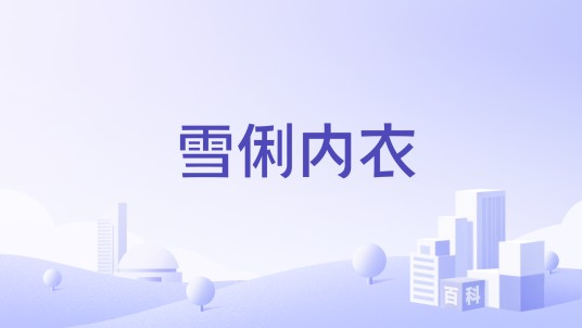 雪俐内衣