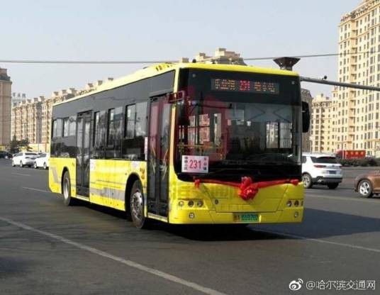 哈尔滨公交231路