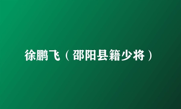 徐鹏飞（邵阳县籍少将）