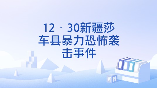 12·30新疆莎车县暴力恐怖袭击事件