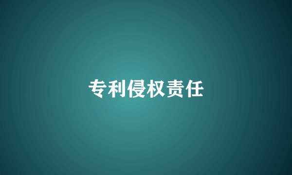 专利侵权责任