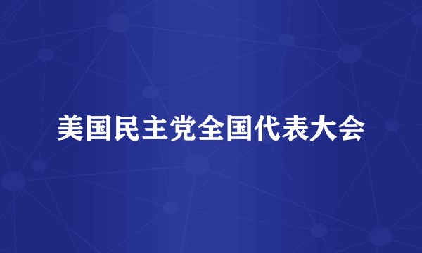 美国民主党全国代表大会