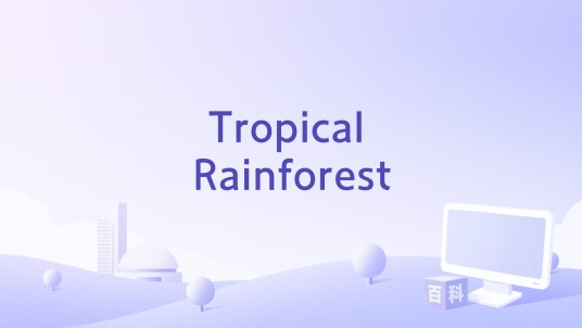Tropical Rainforest