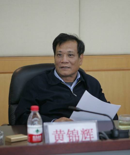 黄锦辉（广东省惠州市委原常委、副市长）