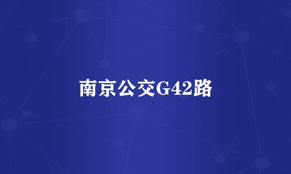 南京公交G42路