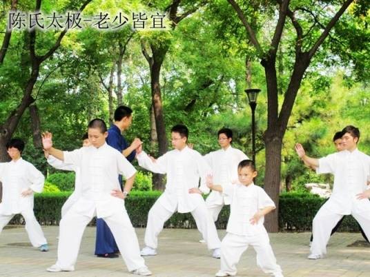 陈氏太极拳(中国传统武术)