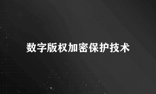 数字版权加密保护技术