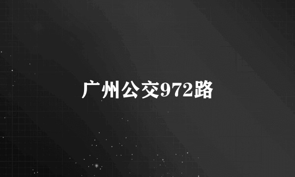 广州公交972路